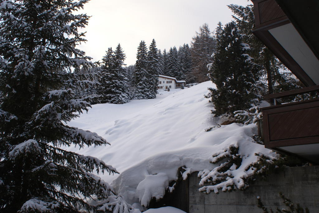 Des Alpes